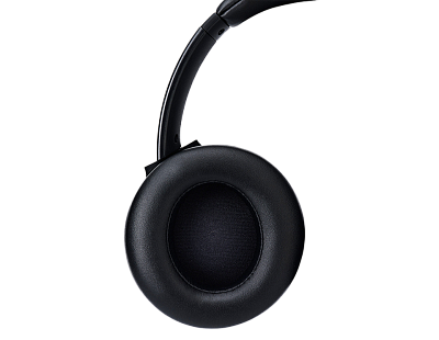 Беспроводные наушники Panasonic RB-M600BG-K (RB-M600BG-K)