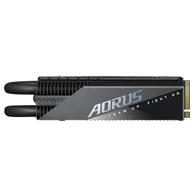 Твердотельный накопитель SSD Gigabyte AORUS Gen4 7000s Prem. SSD 1TB (GP-AG70S1TB-P)