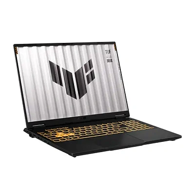 Ноутбук Asus TUF F16 FX608JH-RV06316 (90NR0MH1-M003T0)
