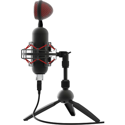 Студийный микрофон Ritmix RDM-230 USB Eloquence черный (80000958)