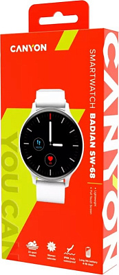 Смарт часы Canyon Badian SW-68 Silver (CNS-SW68SS)