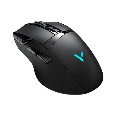 Компьютерная мышь Rapoo VT350S (VT350S)