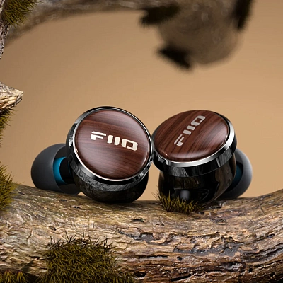 Наушники FiiO FP3, Black Walnut (FP3/TYPE-C)