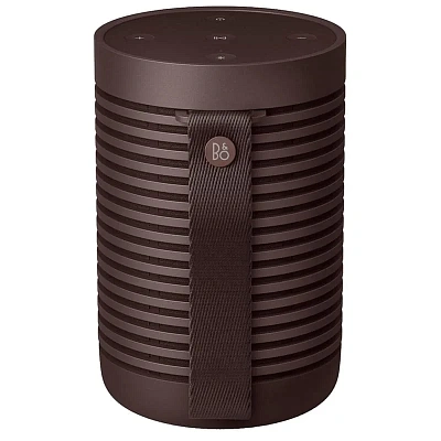 Колонки Bluetooth B&O BeoSound Explore Chestnut (1626005)