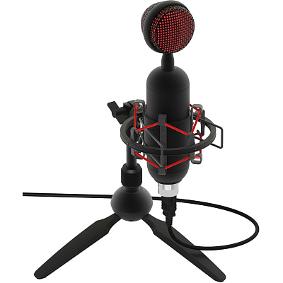 Студийный микрофон Ritmix RDM-230 USB Eloquence черный (80000958)