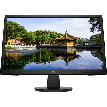 Монитор 21.5" HP V22v G5 Black VA (65P56AA)