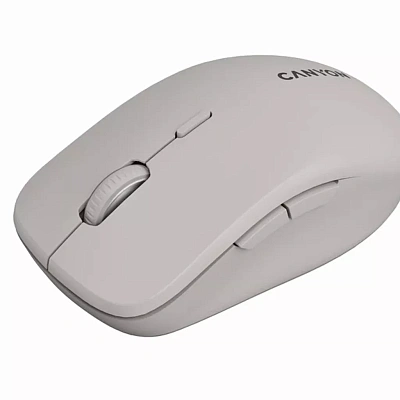 Мышь CANYON MW-12 Beige (CNS-CMSW12BG)