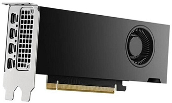 Видеокарта Dell NVIDIA RTX 2000 Ada Generation 16 GB GDDR6 (490-BKLT)