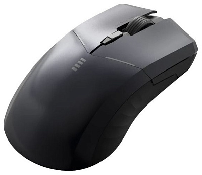 Игровая мышь беспроводная Thunderobot ML702 SE, Black (ML702 SE-BK)