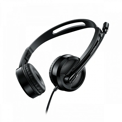 Гарнитура Rapoo H100, 2.4m, Black (18007)