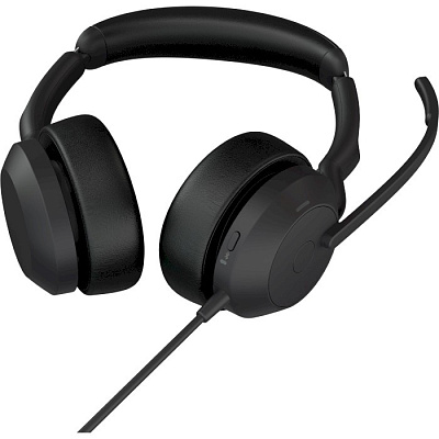 Гарнитура JABRA Evolve2 50, USB C/A, MS Stereo (25089-999-799)