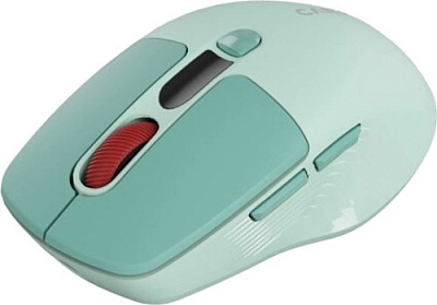 Мышь CANYON MW-26 Green (CNS-CMSW26GR)