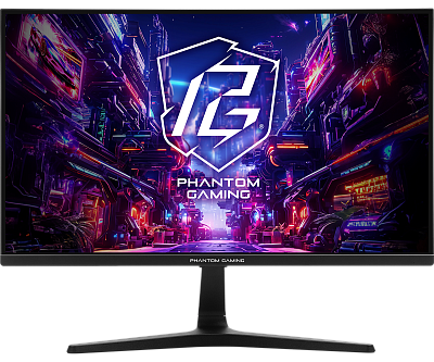 Монитор ASRock PG25FFT 24.5" (PG25FFT)