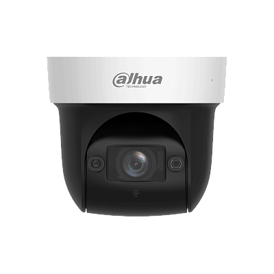Поворотная видеокамера Dahua DH-SD29204DB-GNY (DH-SD29204DB-GNY)