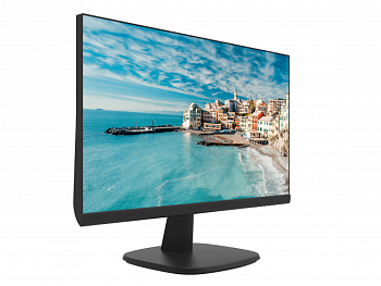 Монитор Hikvision (DS-D5022FN-C)
