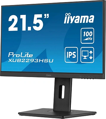 Монитор iiyama ProLite PL2293H 21.5" (XUB2293HSU-B7)
