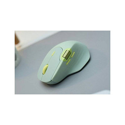 Компьютерная мышь Rapoo MT560 Pale Green (12176)