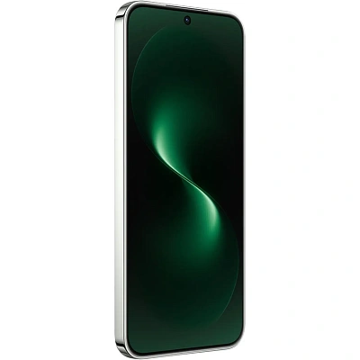 Смартфон HUAWEI nova 15 12GB+256GB, Green (51098TSG)