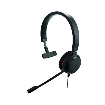 Гарнитура Jabra EVOLVE 20 Mono MS USB-C Проводная (4993-823-189)