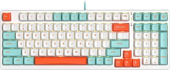 Клавиатура A4Tech Fstyler FS300 Panda Snorkeling, Gaming, Multimedia, USB, белая подсветка (FS300/PANDA SNORKELING)