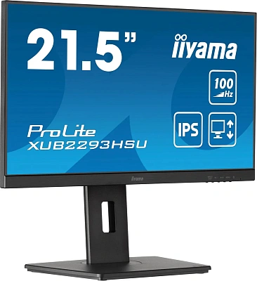 Монитор iiyama ProLite PL2293H 21.5" (XUB2293HSU-B7)