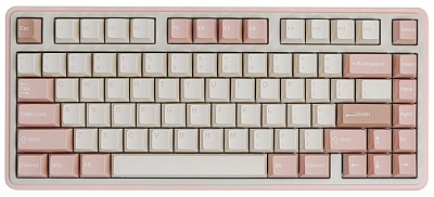 Клавиатура Varmilo Minilo G.Mendozae 75 HE Gateron Magnetic Jade Pro (A99A121J7A5A01A081)