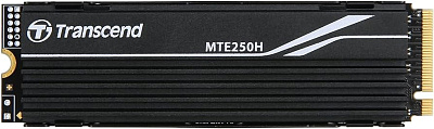 Твердотельный накопитель SSD 1TB Transcend (TS1TMTE250H)
