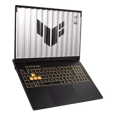 Ноутбук Asus TUF Gaming F16 FX608JMR-RV117 (90NR0NB1-M006V0)