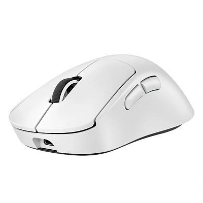 Мышка игровая Logitech G PRO X Superlight 2 DEX Белый (910-007365)