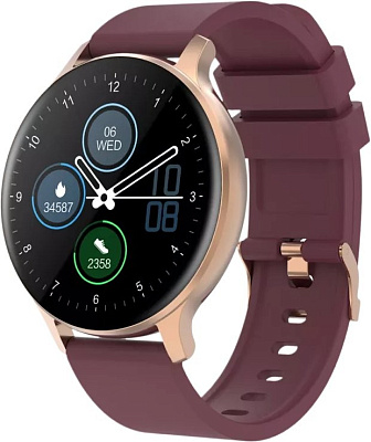 Смарт часы Canyon Badian SW-68 Rose Gold (CNS-SW68RR)