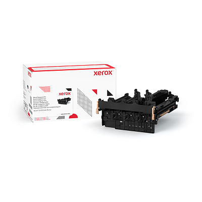 Принт-картридж Xerox 013R00700 (чёрный) (013R00700)