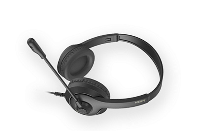 Наушники+микрофон A4tech FH100U-Stone Black (FH100U-Stone Black)