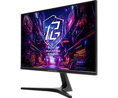 Монитор ASRock PG25FFT 24.5" (PG25FFT)