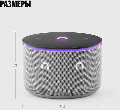 Колонки Яндекс.Станция Мини 3 Про на YaGPT, Grey (YNDX-00059GRY)