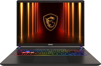 Ноутбук MSI Vector 16 HX AI A2XWHG-422XKZ (9S7-15M352-422)