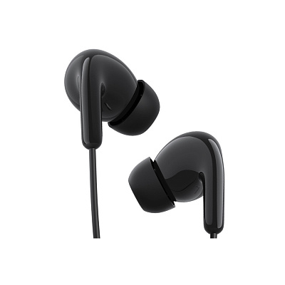 Наушники Xiaomi Type-C Earphones (M2413E1 Black)
