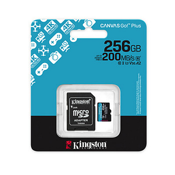Карта памяти MicroSD, Kingston Canvas Go! 256GB Class 10 (SDCG4/256GB)