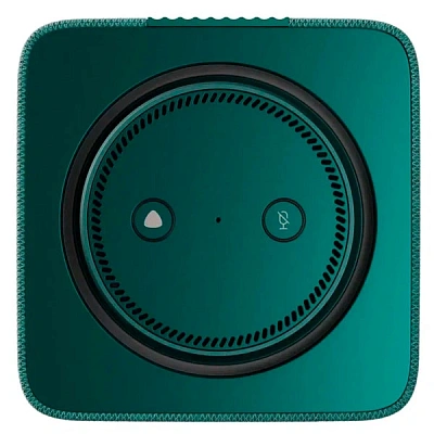 Умная колонка Яндекс Макс с Zigbee Green (YNDX-00053) (YNDX-00053 Green)