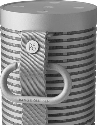 Колонки Bang & Olufsen Beosound Explore (1626003)