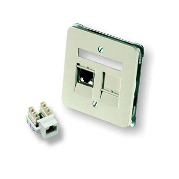 COMMSCOPE Комплект лицевой панели, 2 порта, для 110Connect, встраиваемый, белый (2-966224-1)