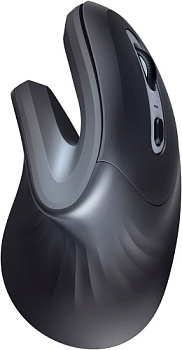 Мышь беспроводная Trust Verro 23507 черный (23507)