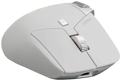 Компьютерная мышь Rapoo MT760L Белый (MT760L White)