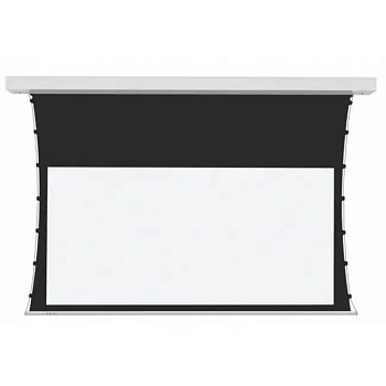 Экран для проектора PROscreen TCT9110 (2435х1370) (TCT9110)