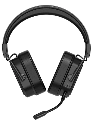 Гарнитура Rapoo VH850 Черный (VH850)