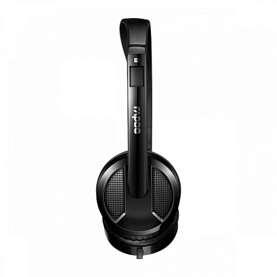 Гарнитура Rapoo H100, 2.4m, Black (18007)