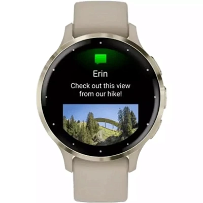 Смарт часы Garmin Venu 3S, серый (010-02785-02)