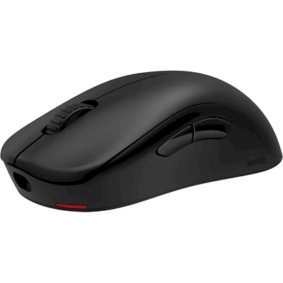 Компьютерная мышь ZOWIE U2 (9H.N4KBE.A2E)