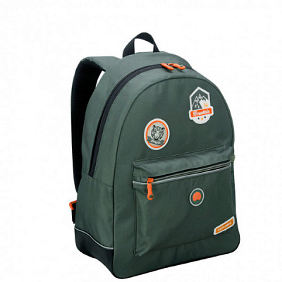 Рюкзак Delsey School 2018, Khaki (00339362203)