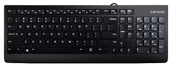 Клавиатура Lenovo 300 (GX30M39684)