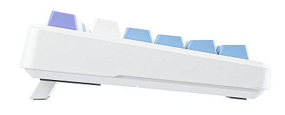 Клавиатура Aula F99, white-blue-purple (F99 white-blue-purple)